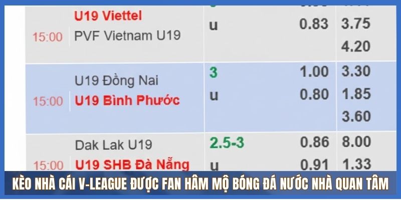 Kèo nhà cái V-League được fan hâm mộ bóng đá nước nhà quan tâm