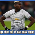 Paul Pogba