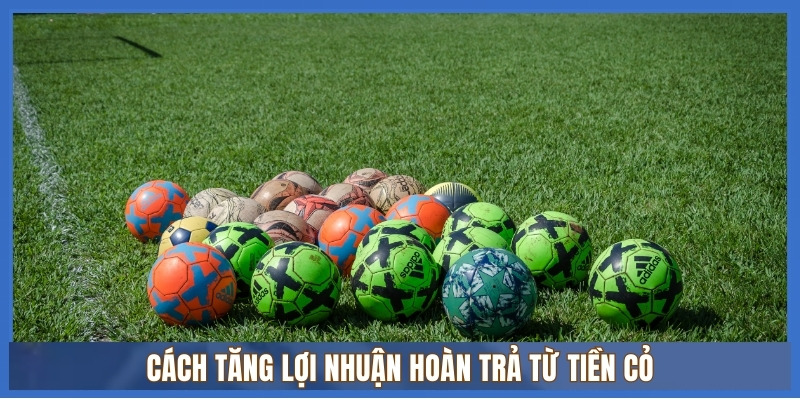 Tính tiền cỏ cá độ: Hướng dẫn tối ưu lợi nhuận hoàn trả 3 Cách tăng lợi nhuận hoàn trả từ Tiền cỏ