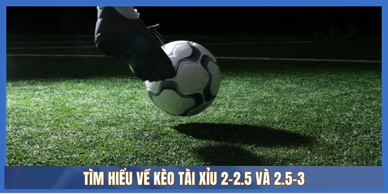 Hướng dẫn cách tính tiền kèo tài xỉu 2-2.5 và 2.5-3 1 Tìm hiểu về kèo tài xỉu 2-2.5 và 2.5-3