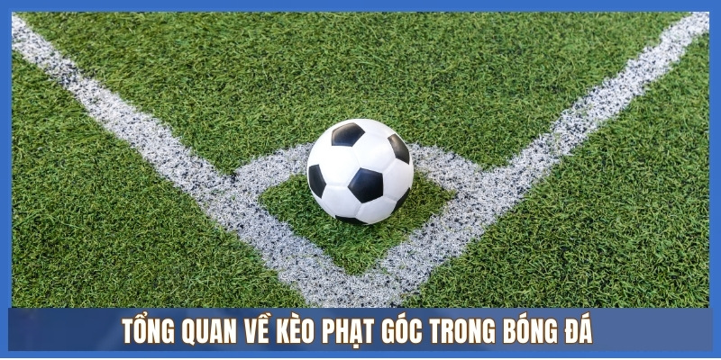 Tổng quan về kèo phạt góc trong bóng đá 